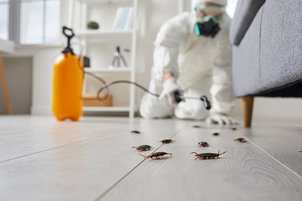 Trusted Fumigation Services service in Wanamassa, NJ - Nex Pest Control