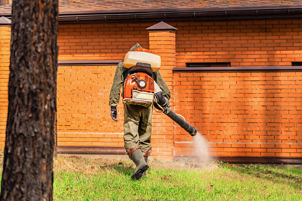 Trusted Cockroach Control service in Wanamassa, NJ - Nex Pest Control